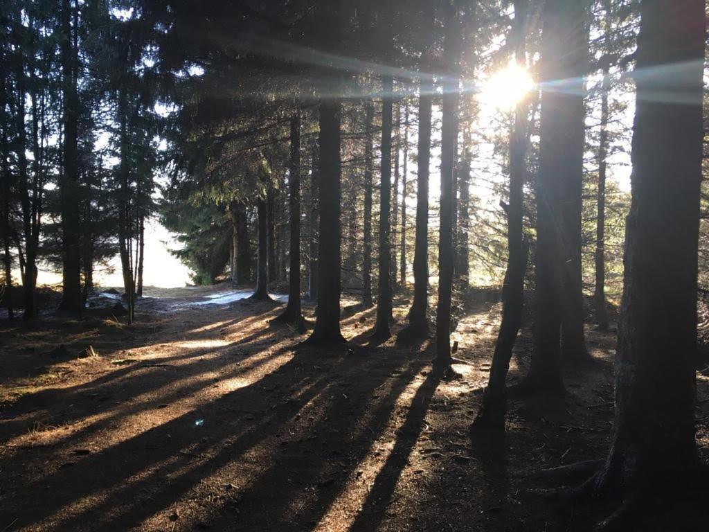Apartmany Forest Kovářská Екстериор снимка